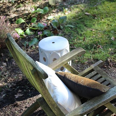 Sfeervol Vakantiehuisje In Bosrijke Omgeving Vorden Exteriér fotografie
