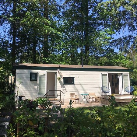 Sfeervol Vakantiehuisje In Bosrijke Omgeving Vorden Exteriér fotografie