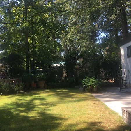 Sfeervol Vakantiehuisje In Bosrijke Omgeving Vorden Exteriér fotografie