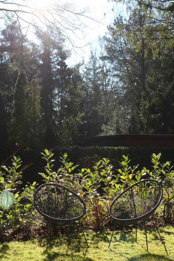 Sfeervol Vakantiehuisje In Bosrijke Omgeving Vorden Exteriér fotografie