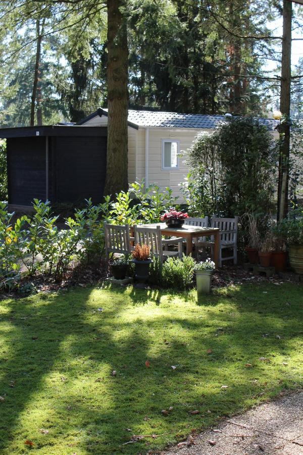 Sfeervol Vakantiehuisje In Bosrijke Omgeving Vorden Exteriér fotografie