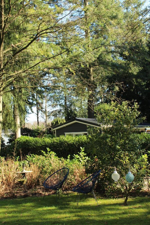 Sfeervol Vakantiehuisje In Bosrijke Omgeving Vorden Exteriér fotografie