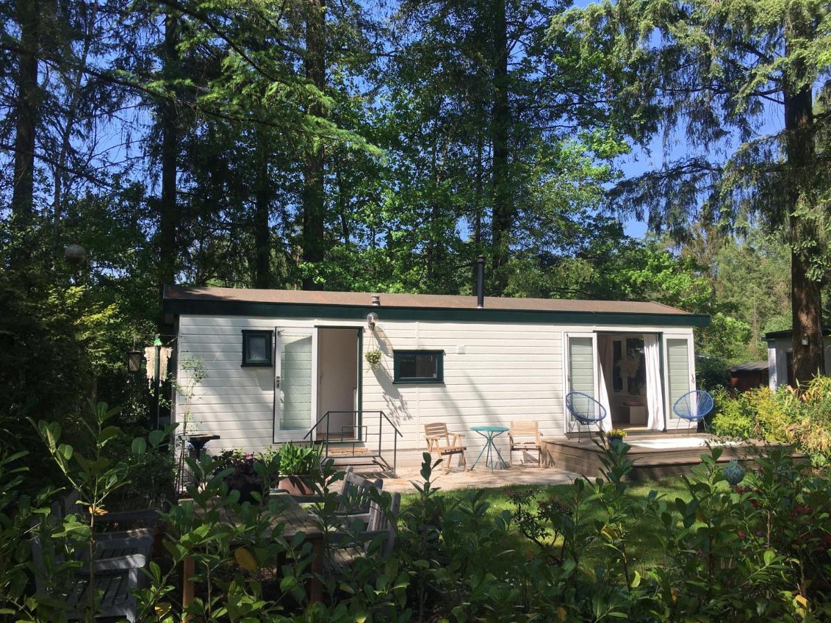 Sfeervol Vakantiehuisje In Bosrijke Omgeving Vorden Exteriér fotografie