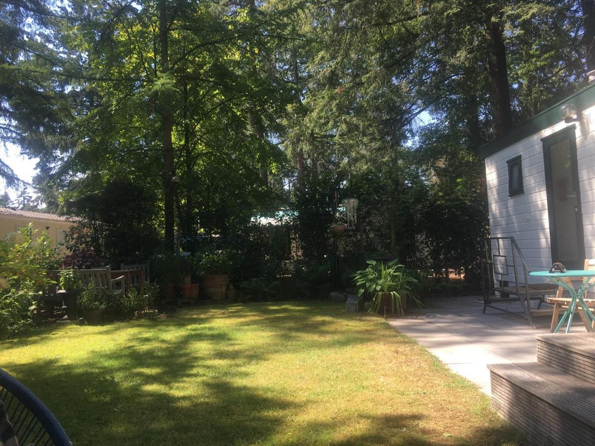 Sfeervol Vakantiehuisje In Bosrijke Omgeving Vorden Exteriér fotografie