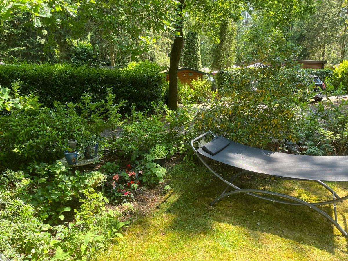 Sfeervol Vakantiehuisje In Bosrijke Omgeving Vorden Exteriér fotografie